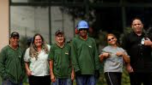 Quais são as opções sustentáveis na limpeza profissional corporativa - Grupo ArteBrilho BH